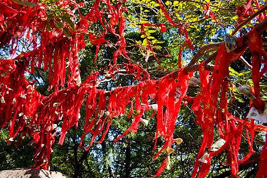 《HANGRY》Steam页面上线 异世界美食RPG