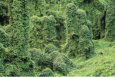 《最后生还者》“全新”内容将于9月27日揭晓